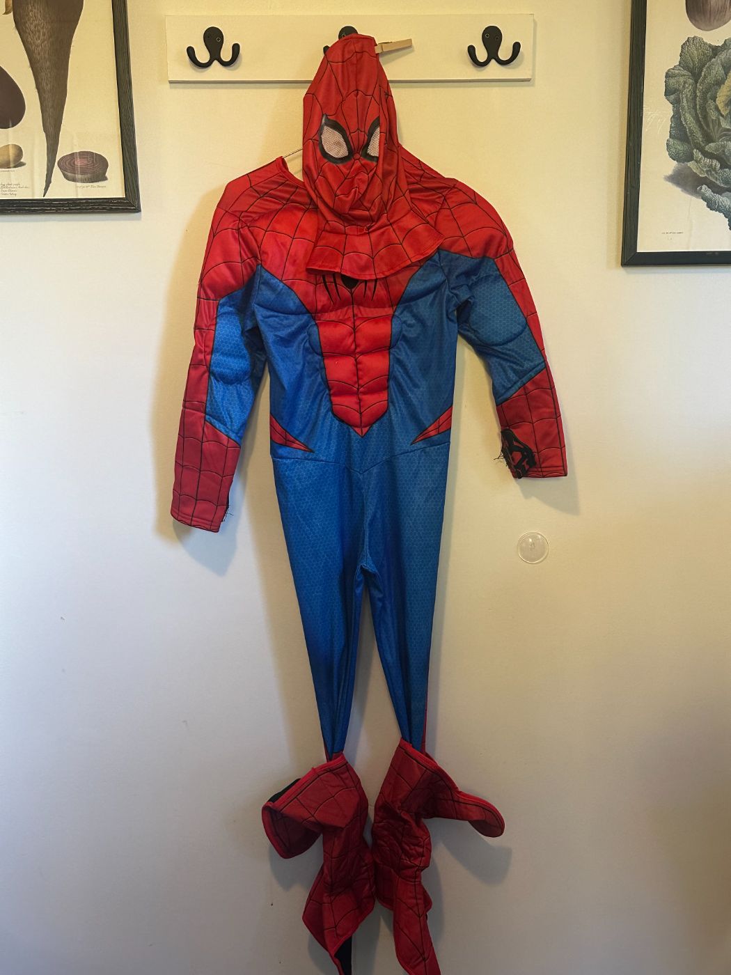 Spiderman Costume