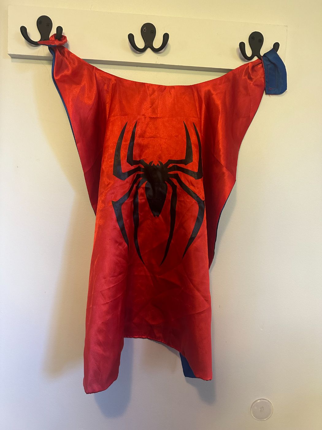 Spider Cape